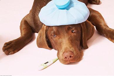 如果《Concord》角色非常性感 你会玩吗？